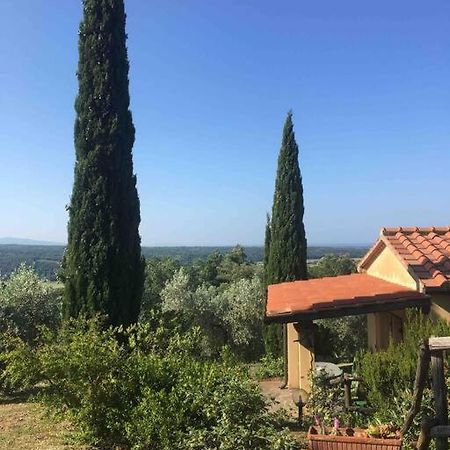 Casa Belvedere -Tranquillita Tra Bosco E Ulivi- ริปาร์เบลลา ภายนอก รูปภาพ