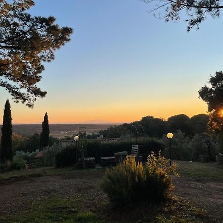 Casa Belvedere -Tranquillita Tra Bosco E Ulivi- ริปาร์เบลลา ภายนอก รูปภาพ