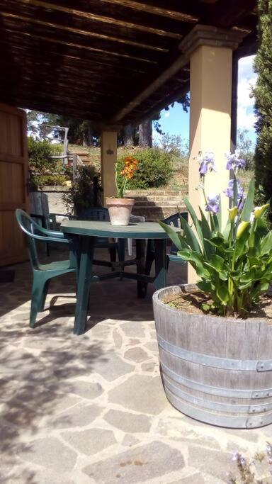 Casa Belvedere -Tranquillita Tra Bosco E Ulivi- ริปาร์เบลลา ภายนอก รูปภาพ