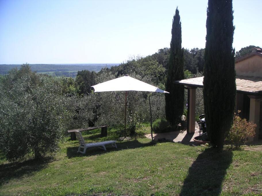 Casa Belvedere -Tranquillita Tra Bosco E Ulivi- ริปาร์เบลลา ภายนอก รูปภาพ