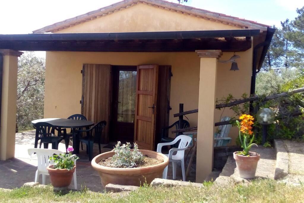 Casa Belvedere -Tranquillita Tra Bosco E Ulivi- ริปาร์เบลลา ภายนอก รูปภาพ