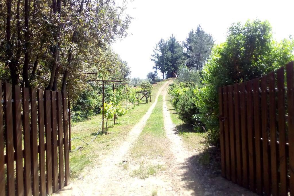 Casa Belvedere -Tranquillita Tra Bosco E Ulivi- ริปาร์เบลลา ภายนอก รูปภาพ