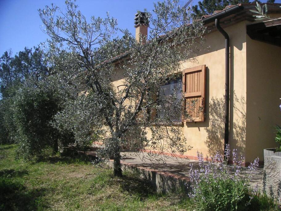 Casa Belvedere -Tranquillita Tra Bosco E Ulivi- ริปาร์เบลลา ภายนอก รูปภาพ