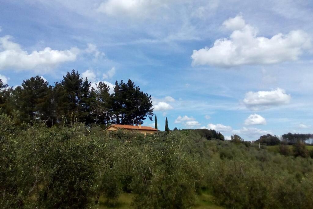 Casa Belvedere -Tranquillita Tra Bosco E Ulivi- ริปาร์เบลลา ภายนอก รูปภาพ