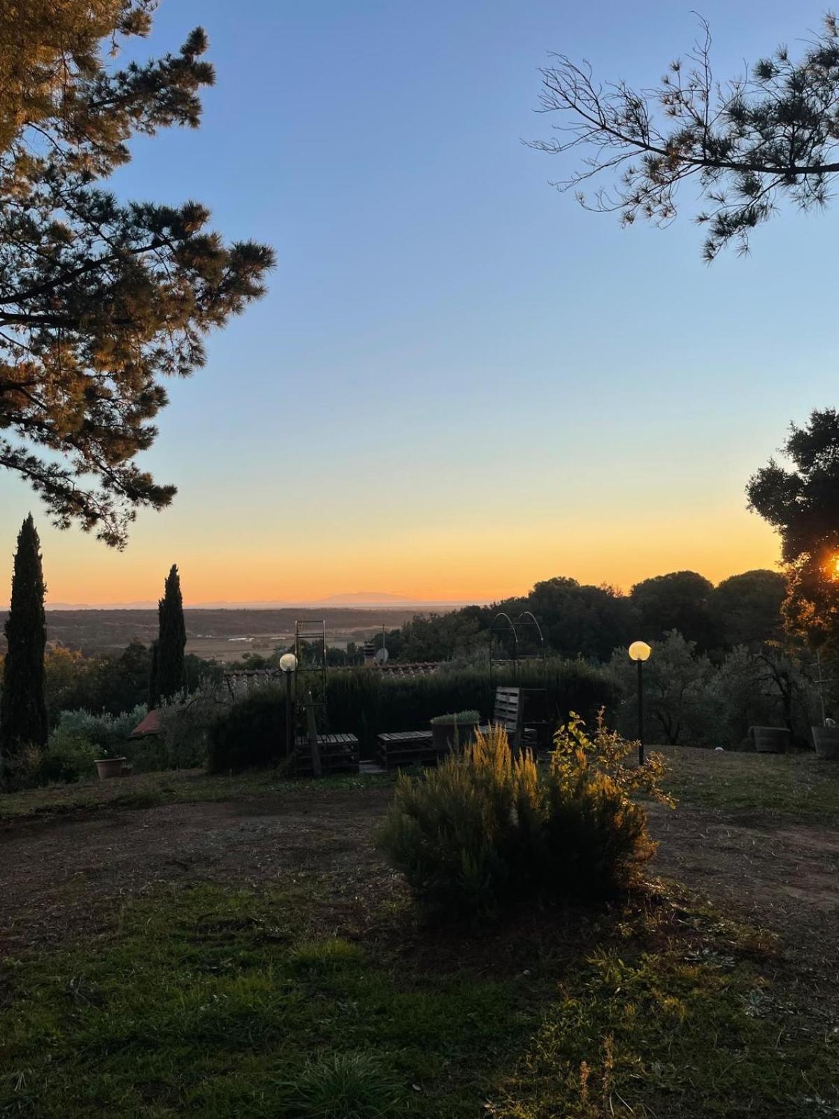 Casa Belvedere -Tranquillita Tra Bosco E Ulivi- ริปาร์เบลลา ภายนอก รูปภาพ